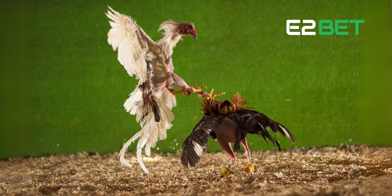 Trải nghiệm mượt mà, giao diện rõ ràng