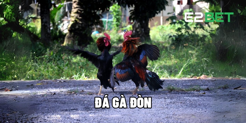 Đá gà đòn