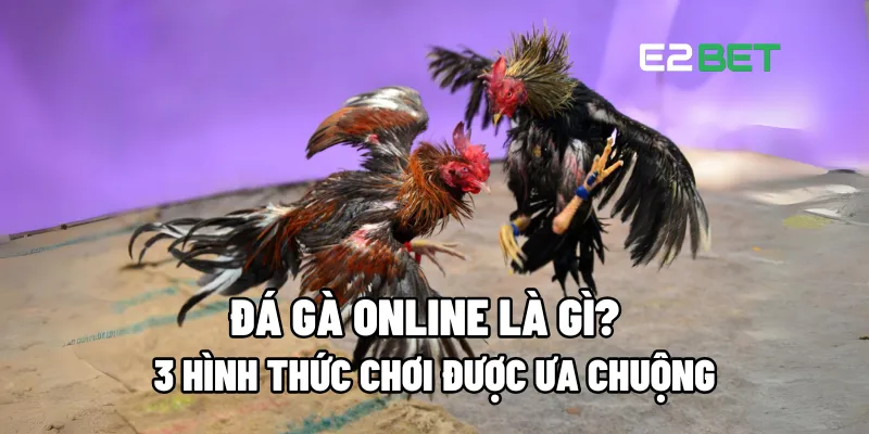 Đá gà online