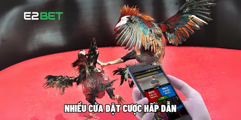 Nhiều cửa đặt cược hấp dẫn