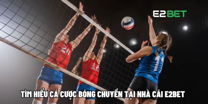 Tìm hiểu cá cược bóng chuyền tại nhà cái E2BET