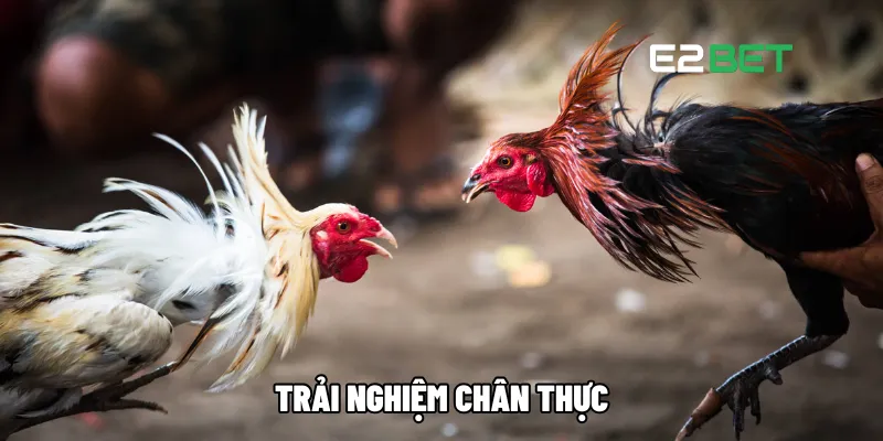 Trải nghiệm chân thực